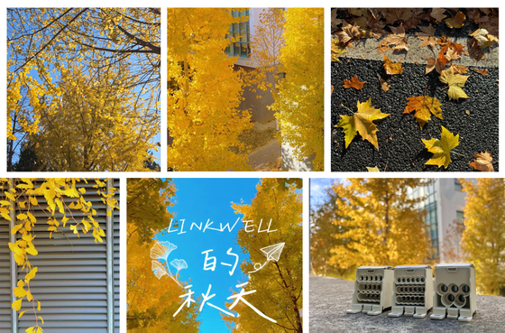 LINKWELL的秋.jpg
